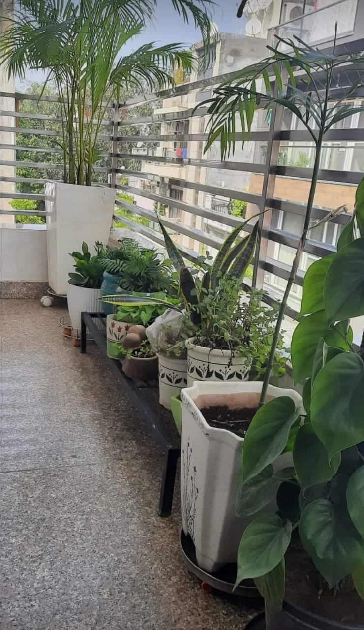 2 BHK + 1 Semi-Furnished Apartment in Mahavir Enclave, Delhi